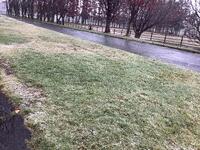 授業中にタイミングよく降ってきた雪に魅了され、思わず外に行き撮った一枚です。僕は雪が好きです。
